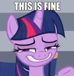 Size: 880x910 | Tagged: safe, edit, edited screencap, imported from derpibooru, screencap, twilight sparkle, alicorn, pony, horse play, blatant lies, caption, cropped, faic, female, image macro, mare, meme, needs more jpeg, nervous grin, smiling, solo, text, this is fine, twilight sparkle (alicorn)