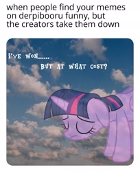 Size: 1584x1944 | Tagged: safe, artist:luckreza8, deleted from derpibooru, edit, imported from derpibooru, twilight sparkle, pony, cloud, meme, sad, sky