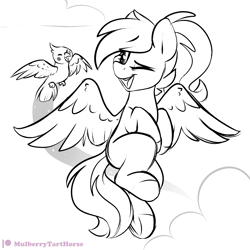 Size: 2000x2000 | Tagged: safe, artist:mulberrytarthorse, imported from derpibooru, oc, oc only, oc:acela, bird, pegasus, pony, female, flying, mare, monochrome, one eye closed, patreon, patreon logo, pet, smiling, solo