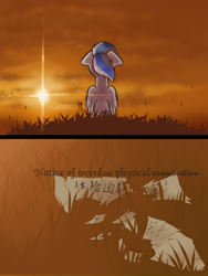 Size: 1200x1600 | Tagged: safe, artist:ravistdash, derpibooru exclusive, imported from derpibooru, oc, oc only, oc:ravist, pegasus, pony, comic:about me, chinese, cloud, female, filly, sad, sky, solo, this will end in tears, translation, wine bottle