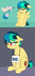 Size: 1069x2281 | Tagged: safe, artist:shinodage, imported from derpibooru, oc, oc only, oc:apogee, human, pegasus, pony, 2 panel comic, annoyed, apogee getting sprayed, bad pony, chest fluff, comic, female, filly, floppy ears, hand, offscreen character, pony shaming, sign, solo, spray bottle