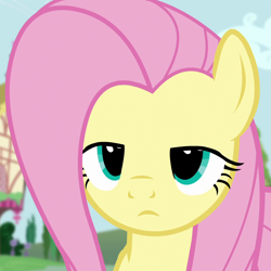 Size: 1080x1080 | Tagged: safe, imported from derpibooru, screencap, fluttershy, pegasus, pony, testing testing 1-2-3, cropped, female, fluttershy is not amused, mare, solo, unamused