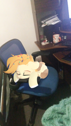 Size: 900x1600 | Tagged: safe, artist:shiny-dust, artist:xavier12197359, imported from derpibooru, oc, oc only, pony, chair, eyes closed, irl, photo, ponies in real life, sleeping, solo