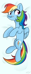 Size: 452x1080 | Tagged: safe, artist:shiny-dust, artist:xavier12197359, imported from derpibooru, rainbow dash, pegasus, pony, body pillow, body pillow design, lying down, on back, solo