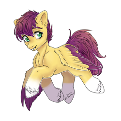 Size: 2800x2800 | Tagged: safe, artist:sugarrrpeach, imported from derpibooru, oc, oc only, oc:yellow jack, pegasus, pony, coat markings, colored wings, colored wingtips, cute, feathered wings, male, pegasus oc, socks (coat marking), socks (coat markings), solo, stallion, wings