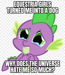 Size: 840x970 | Tagged: safe, imported from derpibooru, spike, equestria girls, abuse, alpha channel, caption, crying, funny, go to sleep garble, i can't believe it's not useraccount, image macro, male, meme, op is a duck, op is trying to start shit, op was successful at being funny, sad, shitposting, solo, spikeabuse, spikeposting, text, truth