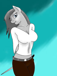 Size: 600x800 | Tagged: safe, artist:derpyhooves113, imported from derpibooru, oc, oc only, oc:silver belle, anthro, anthro oc, breasts, clothes, female, solo, solo female, sword, weapon