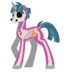 Size: 900x1000 | Tagged: safe, artist:enigmadoodles, imported from derpibooru, stygian, pony, unicorn, anatomy guide, dissectibles, male, organs, simple background, solo, stallion, white background