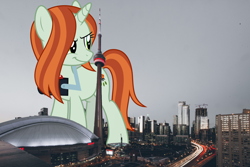 Size: 2400x1600 | Tagged: safe, artist:luckreza8, artist:sanjeev kugan, edit, editor:jaredking203, imported from derpibooru, crackle cosette, queen chrysalis, shutterbug, pony, unicorn, building, camera, canada, city, cityscape, cn tower, disguise, disguised changeling, female, giant crackle cosette, giant pony, giant unicorn, giantess, high res, highrise ponies, irl, macro, mare, mega giant, photo, ponies in real life, toronto, vector