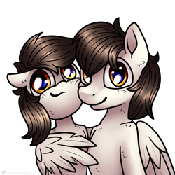 Size: 3000x3000 | Tagged: safe, artist:cornelia_nelson, imported from derpibooru, oc, oc:broadshield, oc:rough seas, earth pony, pegasus, pony, hug, siblings, winghug