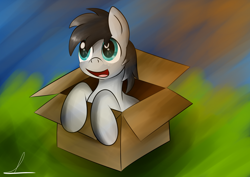 Size: 3100x2200 | Tagged: safe, artist:almaustral, imported from derpibooru, oc, oc only, earth pony, pony, box, earth pony oc, eye reflection, open mouth, pony in a box, reflection, signature, smiling, solo