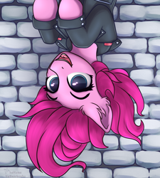 Size: 2250x2500 | Tagged: safe, artist:lakunae, imported from derpibooru, pinkie pie, australian, clothes, female, inverted, jacket, mare, upside down, wall