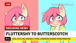 Size: 1280x720 | Tagged: safe, artist:hoodie, editor:band sickle, fluttershy, semi-anthro, bipedal, blushing, breaking news meme, butterscotch, clothes, female, femboy, heart, hoodie, male, meme, rule 63, self ponidox, socks, solo, solo female, solo male