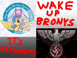 Size: 1000x750 | Tagged: safe, deleted from derpibooru, imported from derpibooru, oc, oc:golden gates, bird, eagle, babscon, babsconspiracy, conspiracy, nazi, nazi eagle