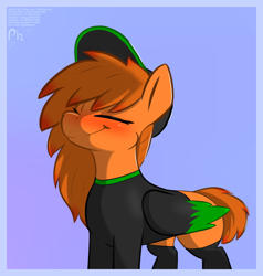 Size: 2000x2100 | Tagged: safe, artist:phlerius, imported from derpibooru, oc, oc only, pegasus, pony, clothes, eyes closed, hat, smiling, socks, solo, tracksuit