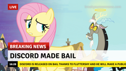 Size: 1280x720 | Tagged: safe, edit, edited screencap, imported from derpibooru, screencap, discord, fluttershy, draconequus, pegasus, pony, princess twilight sparkle (episode), black vine, break your own news, breaking news, caption, female, halo, image macro, innocent, male, meme, plunder seeds, ponyville, sky, text, vine