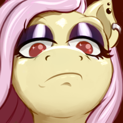 Size: 500x500 | Tagged: safe, artist:cocaine, imported from derpibooru, fluttershy, pegasus, fluttergoth, goth, looking at you, not impressed, pathetic, piercing