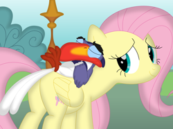 Size: 3548x2642 | Tagged: safe, artist:porygon2z, imported from derpibooru, fluttershy, bird, pegasus, pony, butt, cute, disney, duo, duo male and female, female, hornbill, male, mare, plot, shyabetes, smiling, the lion king, zazu