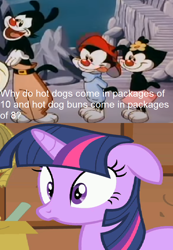 Size: 518x750 | Tagged: safe, edit, edited screencap, imported from derpibooru, screencap, twilight sparkle, unicorn, the show stoppers, animaniacs, dot warner, floppy ears, reaction image, unicorn twilight, wakko warner, yakko warner