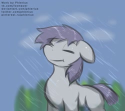 Size: 2247x1998 | Tagged: safe, artist:phlerius, imported from derpibooru, oc, oc only, pony, digital art, forest, forest background, gray, humidity, mainly cloudy, moisture, my little pony, rain, solo