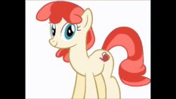 Size: 1280x720 | Tagged: safe, artist:softlava, oc, oc:copper kettle, earth pony, pony, animated, brushie, brushing, female, looking at you, mare, petting, simple background, sound, video, webm, white background