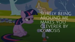 Size: 1280x720 | Tagged: safe, edit, edited screencap, imported from derpibooru, screencap, twilight sparkle, pony, unicorn, hurricane fluttershy, doctor who, female, mare, quote, solo, unicorn twilight