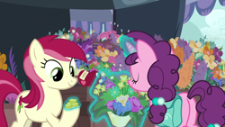 Size: 1280x720 | Tagged: safe, imported from derpibooru, screencap, roseluck, sugar belle, earth pony, pony, unicorn, the big mac question, bag, butt, coin, female, flower, mare, plot, saddle bag