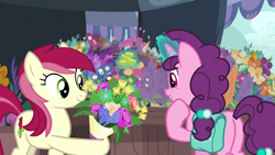 Size: 1280x720 | Tagged: safe, imported from derpibooru, screencap, roseluck, sugar belle, earth pony, unicorn, the big mac question, bag, butt, female, flower, mare, plot, saddle bag