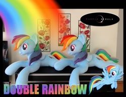 Size: 1280x990 | Tagged: safe, artist:purplenebulastudios, imported from derpibooru, rainbow dash, pony, double rainbow, irl, photo, plushie, self ponidox