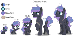 Size: 3500x1700 | Tagged: safe, artist:choisky13, imported from derpibooru, oc, oc:crescent night, pegasus, pony, 5-year-old, age progression, baby, baby pony, colt, male, reference sheet, scar, simple background, stallion, transparent background