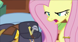 Size: 1366x741 | Tagged: safe, edit, edited screencap, imported from derpibooru, screencap, discord, fluttershy, limestone pie, earth pony, pegasus, pony, dungeons and discords, discovery family logo, faic, shitposting, why did i make this