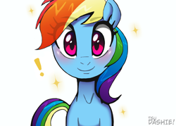 Size: 1000x714 | Tagged: safe, artist:tsudashie, imported from derpibooru, rainbow dash, pegasus, pony, blushing, cute, dashabetes, exclamation point, eye clipping through hair, eyebrows, eyebrows visible through hair, female, happy birthday mlp:fim, looking at you, mare, mlp fim's tenth anniversary, signature, simple background, smiling, smiling at you, solo, sparkles, white background