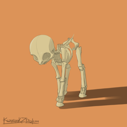 Size: 2615x2620 | Tagged: dead source, safe, artist:kozachokzrotom, imported from derpibooru, pony, anatomy, bone, simple background, skeleton