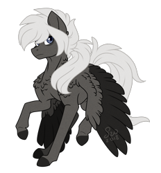 Size: 1424x1536 | Tagged: safe, artist:silentwolf-oficial, imported from derpibooru, oc, oc only, pegasus, pony, chest fluff, colored hooves, pegasus oc, raised hoof, simple background, solo, transparent background, two toned wings, wings