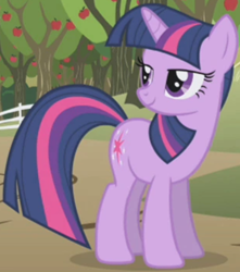 Size: 846x957 | Tagged: safe, imported from derpibooru, screencap, twilight sparkle, pony, unicorn, applebuck season, season 1, cropped, female, lidded eyes, mare, solo, unicorn twilight