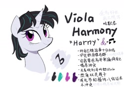 Size: 1600x1200 | Tagged: dead source, safe, artist:yaaaco, artist:yaco, imported from derpibooru, oc, oc only, oc:viola harmony, pony, unicorn, chinese, female, horn, magical lesbian spawn, mare, offspring, parent:octavia melody, parent:vinyl scratch, parents:scratchtavia, reference sheet, simple background, solo, translated in the comments, translation request, unicorn oc, white background