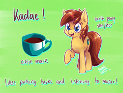 Size: 1600x1200 | Tagged: safe, artist:the-barinade, imported from derpibooru, oc, oc only, oc:kadae, earth pony, pony, cutie mark, looking at you, reference sheet, smiling, smiling at you, solo