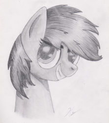 Size: 1399x1573 | Tagged: safe, artist:harleneap, imported from derpibooru, rainbow dash, pegasus, pony, bust, monochrome, pencil drawing, portrait, solo, traditional art