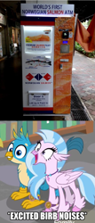 Size: 593x1383 | Tagged: safe, imported from derpibooru, gallus, silverstream, fish, griffon, hippogriff, birb, carnivore, cute, diastreamies, excited, furry reminder, gallabetes, happy, mouth wide open, norwegian salmon, salmon, smiling, translation error, vending machine
