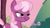 Size: 1280x720 | Tagged: safe, imported from derpibooru, screencap, cheerilee, earth pony, pony, hearts and hooves day (episode), faic, female, hub logo, love poison, mare, scrunchy face, solo