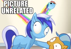 Size: 960x672 | Tagged: safe, artist:dazko, edit, imported from derpibooru, doctor fauna, minuette, rainbow dash, pony, unicorn, ask doctor colgate, artifact, ask, blank flank, caption, chibi, chubbie, derp, flying, hoof in mouth, image macro, meme, missing cutie mark, picture unrelated, puffy cheeks, rainbow, shrunken pupils, text, tumblr, wat, wide eyes