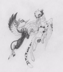 Size: 2518x2854 | Tagged: safe, artist:joestick, imported from derpibooru, oc, oc only, griffon, cute, flying, griffon oc, holding hands, looking at each other, looking at each others, monochrome, spread wings, traditional art, wings