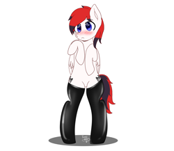 Size: 3000x2600 | Tagged: safe, artist:yumomochan, imported from derpibooru, oc, oc:leopolt von richter, pegasus, pony, bipedal, blushing, clothes, commission, feathered wings, femboy, latex, latex socks, male, oc name needed, pegasus oc, socks, solo, stallion, wings, ych example, ych result, your character here