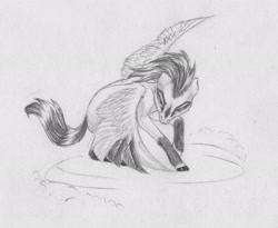 Size: 2464x2021 | Tagged: safe, artist:joestick, imported from derpibooru, oc, pegasus, looking at you, monochrome, pegasus oc, spread wings, traditional art, wings