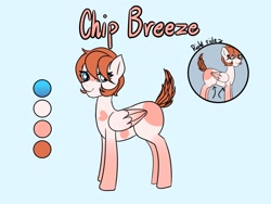 Size: 1600x1200 | Tagged: safe, artist:plaguemare, imported from derpibooru, oc, oc only, oc:chip breeze, pegasus, pony, markings, pegasus oc, reference sheet, solo, wings