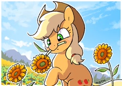 Size: 1457x1032 | Tagged: safe, artist:mochi_nation, imported from derpibooru, applejack, earth pony, pony, blushing, cute, day, female, flower, flower field, jackabetes, mare, mountain, mountain range, mouth hold, solo, sunflower