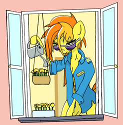 Size: 1996x2030 | Tagged: safe, artist:greeneyedmistress, imported from derpibooru, spitfire, anthro, pegasus, pony, clothes, female, flower, glasses, mare, solo