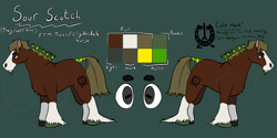 Size: 3655x1821 | Tagged: safe, artist:slimyferret, imported from derpibooru, oc, oc only, oc:sour scotch, clydesdale, earth pony, horse, pony, beard, braid, branding, draft horse, facial hair, female to male, hair tie, hoers, ponysona, reference sheet, rule 63, solo, trans, trans boy, trans male, trans stallion, transgender