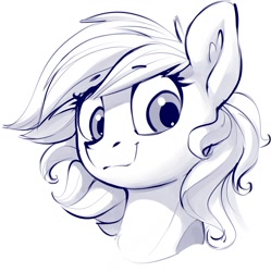 Size: 1249x1255 | Tagged: safe, artist:dimfann, pony, bust, ear fluff, looking down, monochrome, portrait, smiling, solo