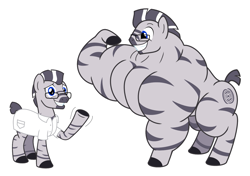 Size: 1243x876 | Tagged: safe, artist:urkel, imported from derpibooru, oc, oc only, oc:mino, pony, zebra, clothes, fetish, glasses, growth, lab coat, male, muscle expansion, muscle fetish, muscle growth, muscles, overdeveloped muscles, scientist, sequence, simple background, smiling, solo, stallion, white background, zebra oc